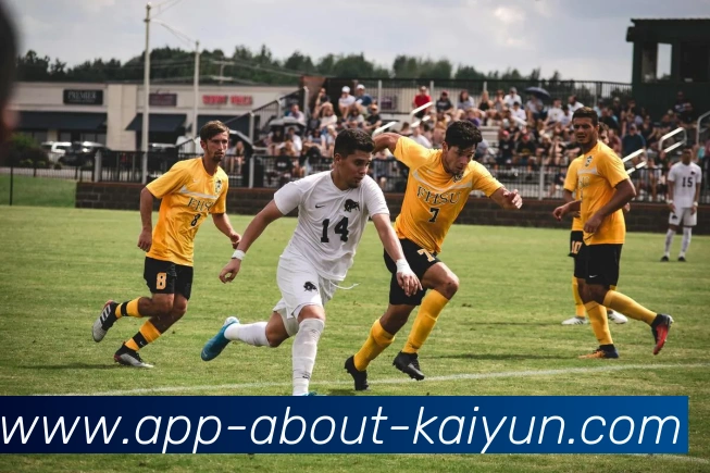 多媒体互动体验